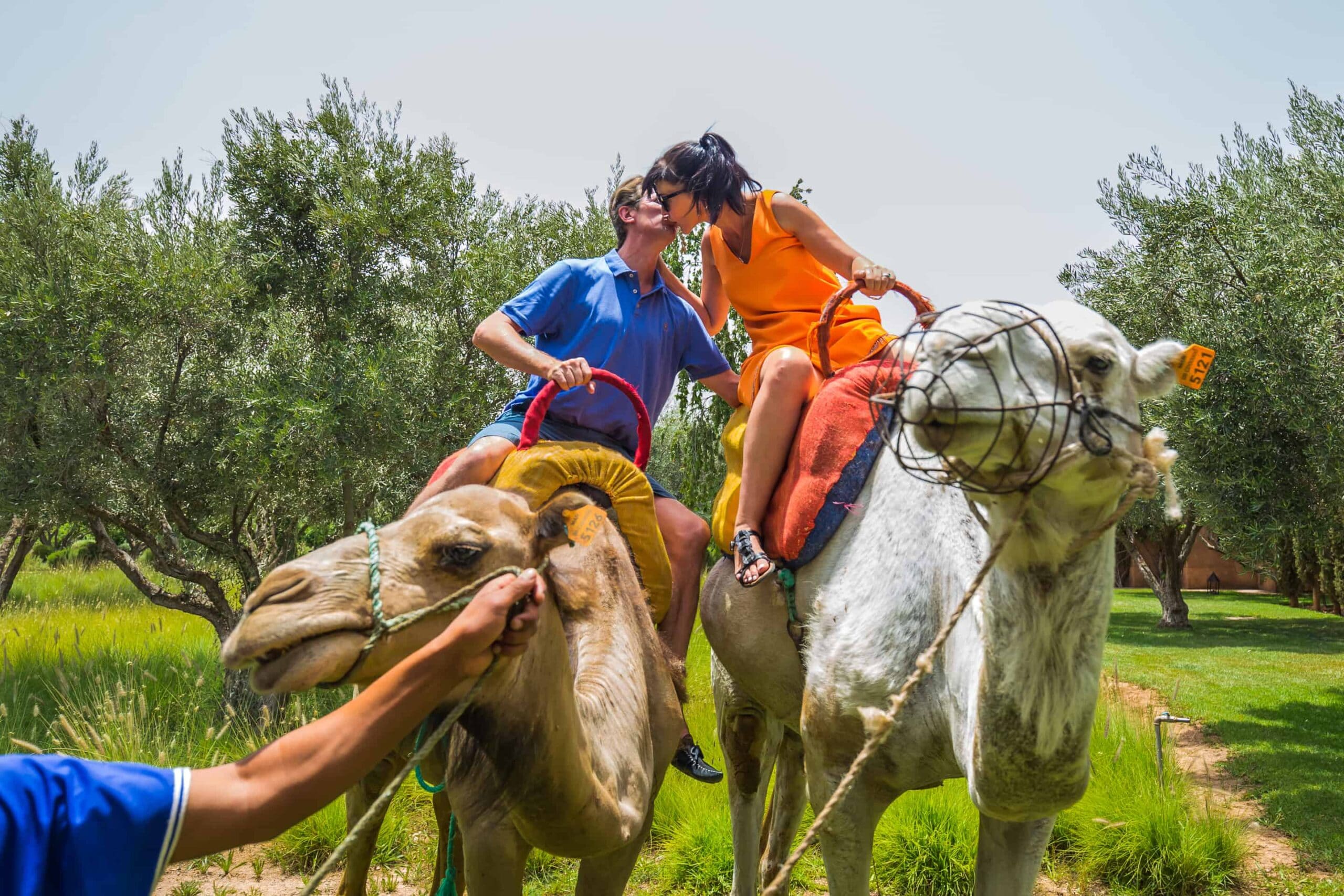Wedding Planner Marrakech