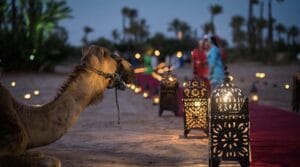 Five Enchanting Marrakech Wedding Venues Party Maroc