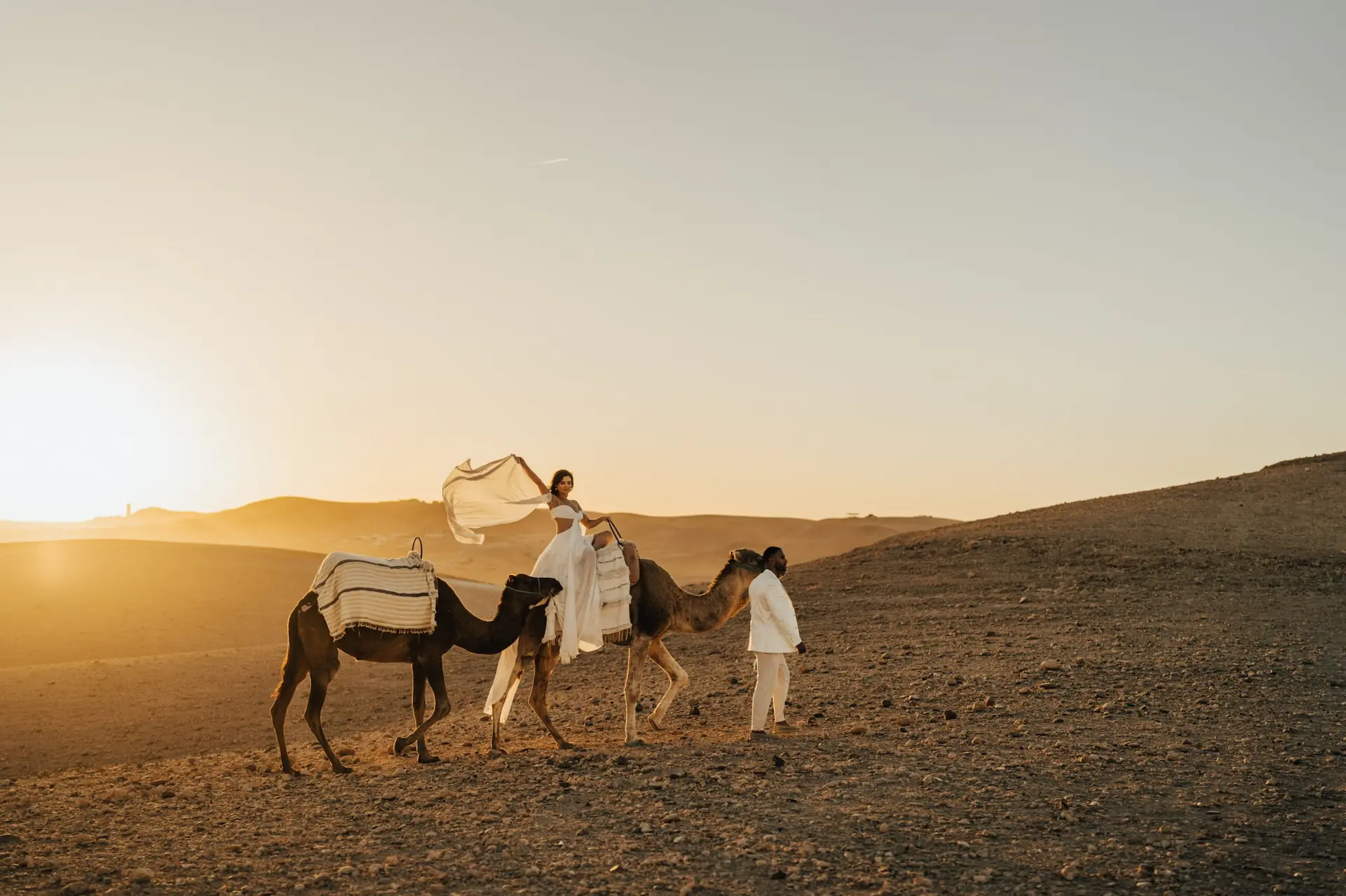 Camel carrying a bride across the Agafay desert at sunset