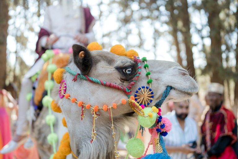 indian wedding in marrakech