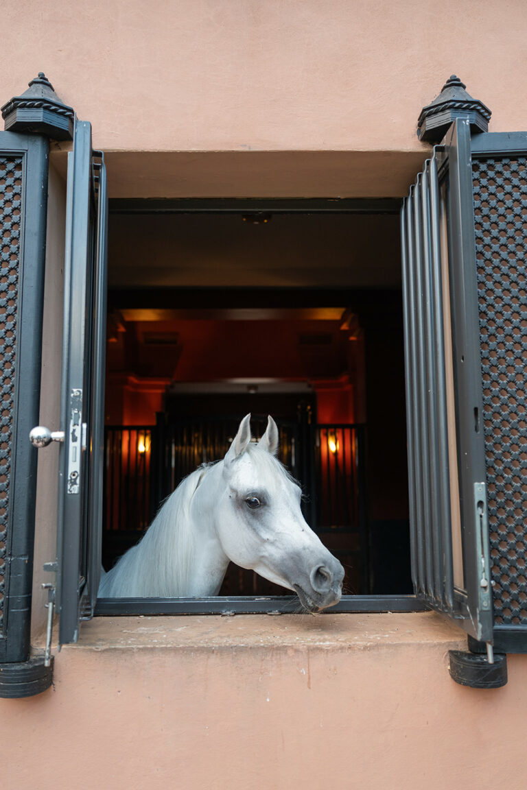 welcome dinner in the stables of Selman