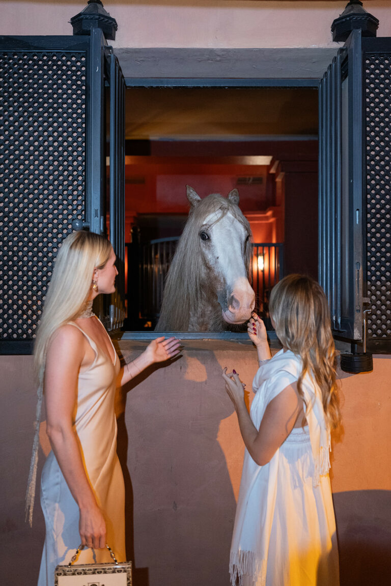 welcome dinner in the stables of Selman