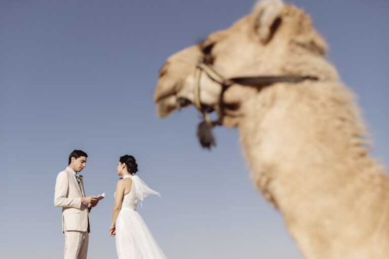 desert elopement marrakech